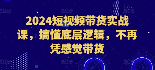 短视频带货实战课
