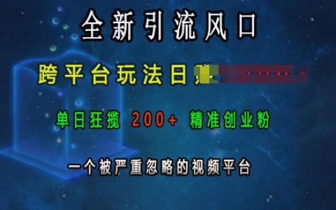 全新引流风口，跨平台玩法日入上k，单日狂揽200+精准创业粉