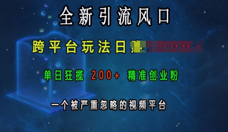 全新引流风口