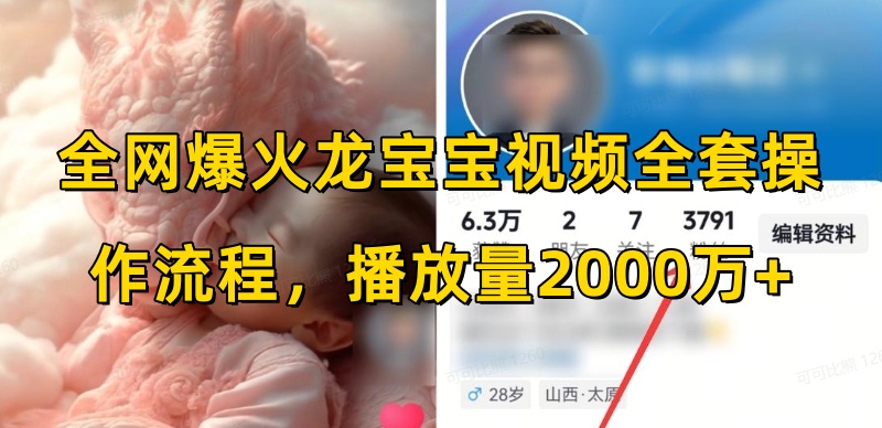 龙宝宝视频全套操作流程