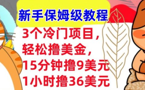 3个冷门项目，轻松撸美刀，新手保姆级教程