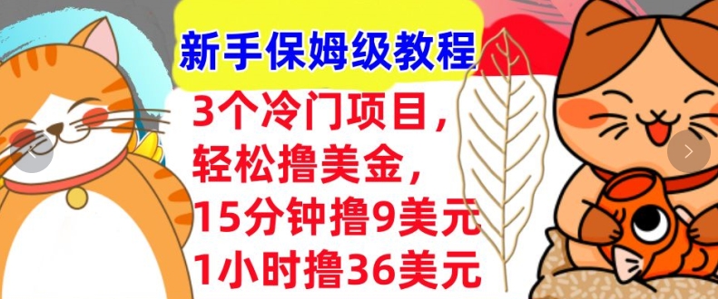 冷门项目