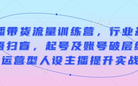 直播带货流量训练营，起号及账号破层级，运营型人设主播提升实战
