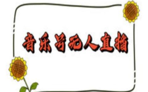 抖音音乐号无人直播间搭建，手把手教你搭建，24小时不断播撸音浪
