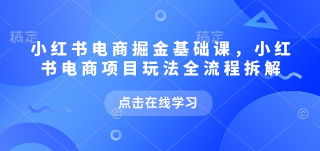 小红书电商掘金课
