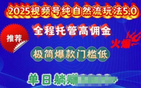 2025视频号纯自然流玩法5.0，全程托管高佣金，单日收益200
