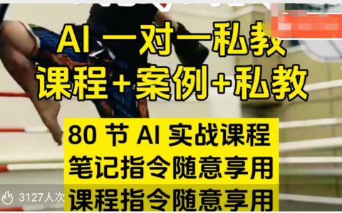 AI指令实战课，课程+案例，笔记指令随意享用