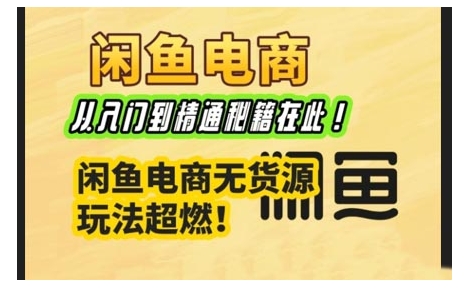 闲鱼电商实战课