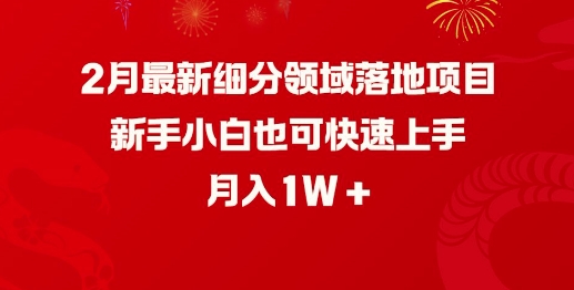 最新细分领域落地项目