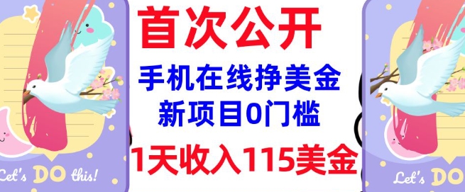 美金新项目