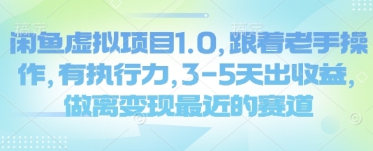 闲鱼虚拟项目