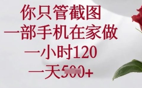 你只管截图，一部手机在家做，一小时120.一天5张