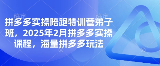 拼多多实操课程