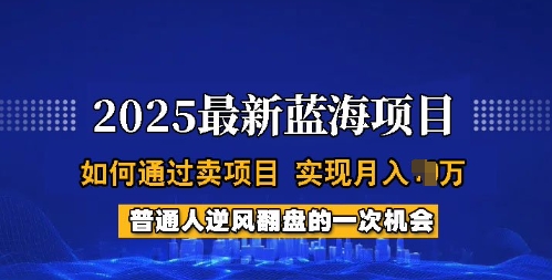 蓝海项目