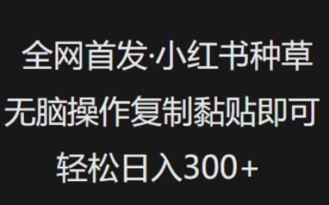 小红书种草无脑操作，复制黏贴即可，轻松日入300+