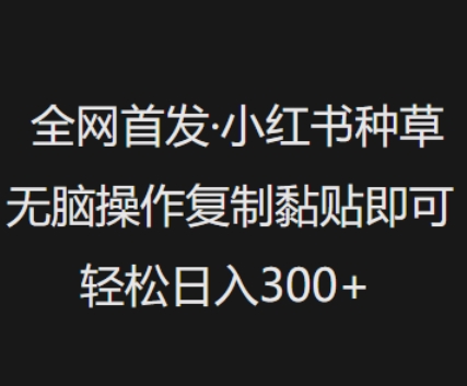 小红书种草