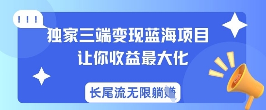 独家三端变现蓝海项目