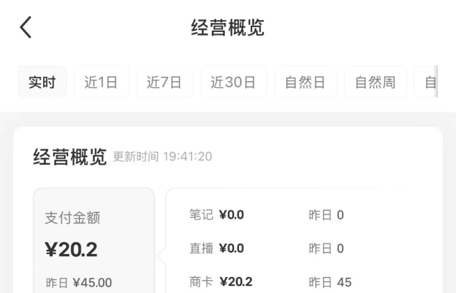 小红书虚拟资料店铺项目