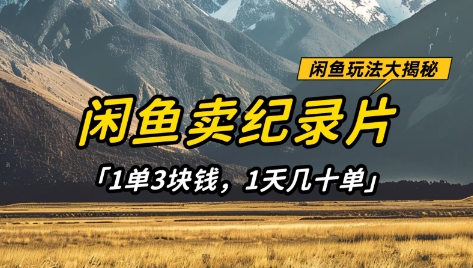 闲鱼卖纪录片