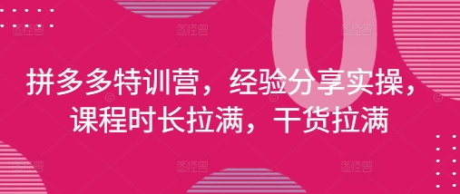 拼多多特训营