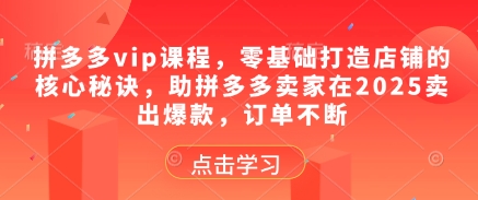 拼多多vip课程