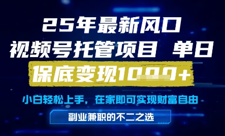 视频号托管项目