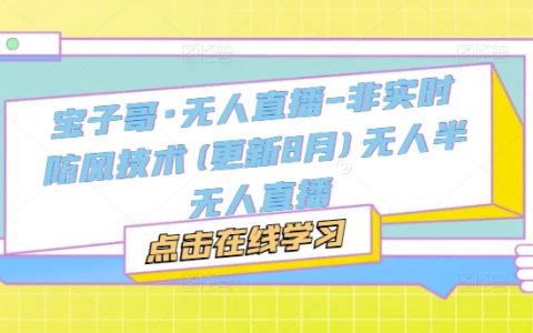 宝子哥·无人直播-非实时防风技术(更新25年7月)无人半无人直播