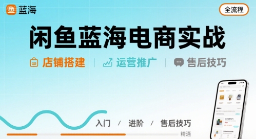 闲鱼蓝海电商实战