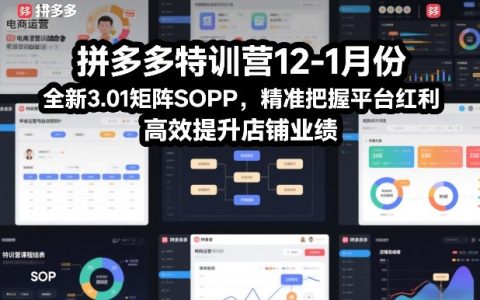 拼多多特训营12-1月份，全新3.01矩阵Sop，精准把握平台红利，高效提升店铺业绩