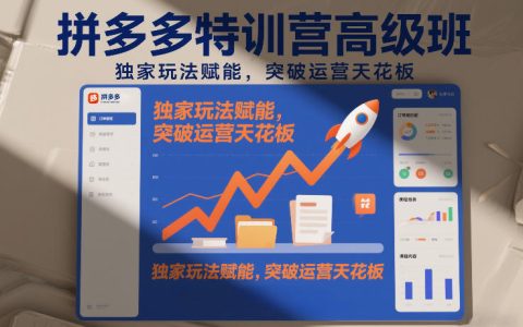 拼多多特训营高阶班，独家玩法赋能，突破运营天花板（更新26年3月19日）